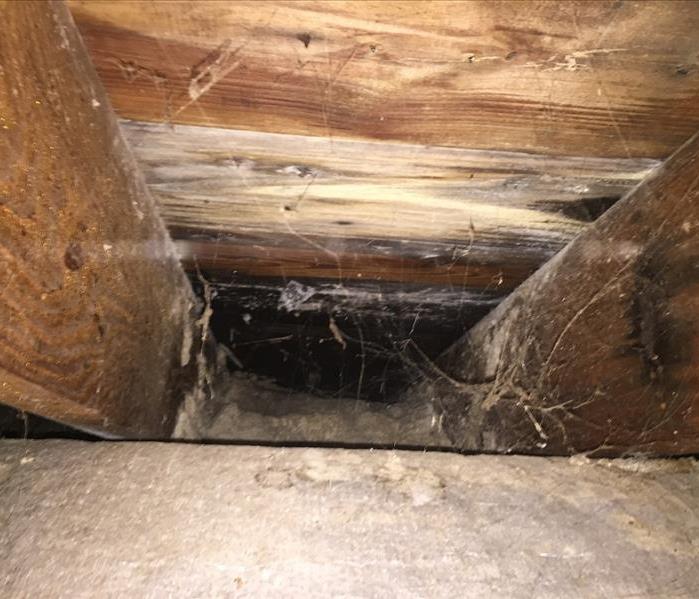 Rockville Centre - Attic Cleaning Before